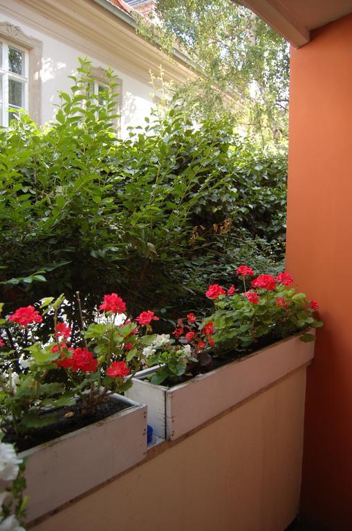 Buda Castle Apartament *